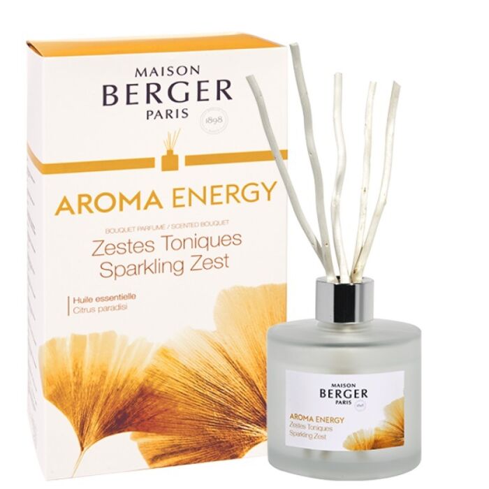 Maison Berger AROMA Energie Sparkling Zest Scented Bouquet-1